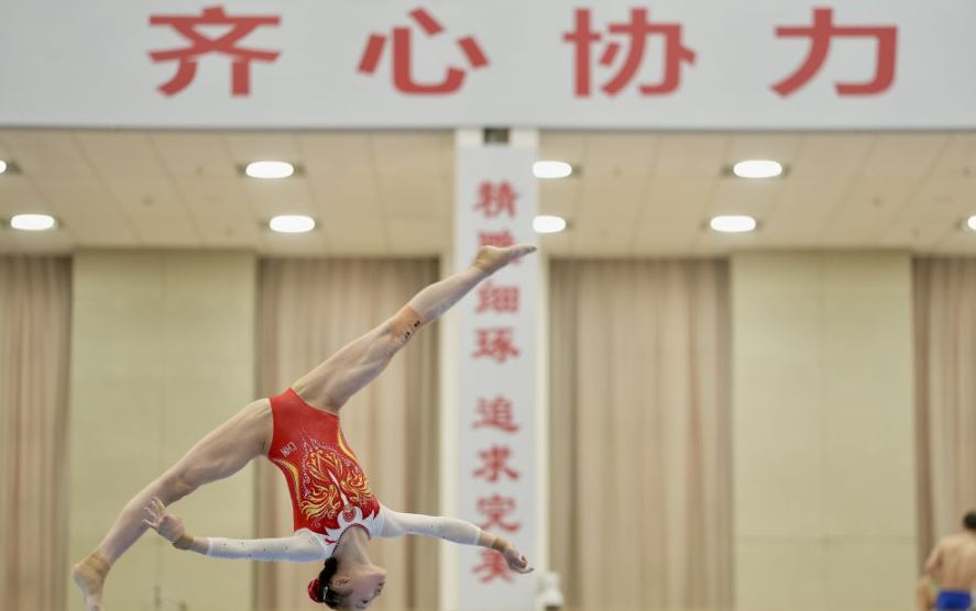 乐鱼体育苹果平台的社交功能探讨